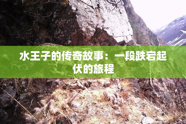 水王子的传奇故事：一段跌宕起伏的旅程