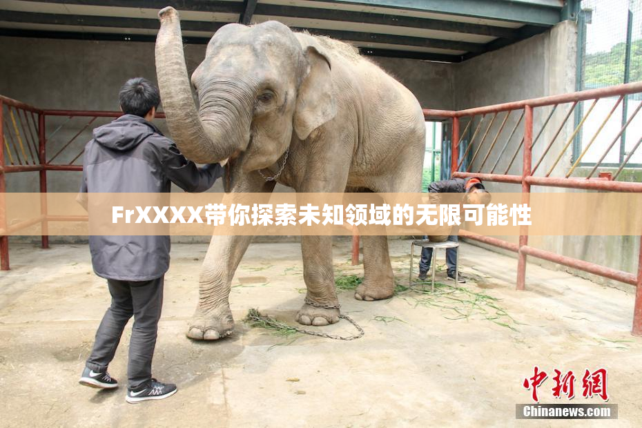 FrXXXX带你探索未知领域的无限可能性
