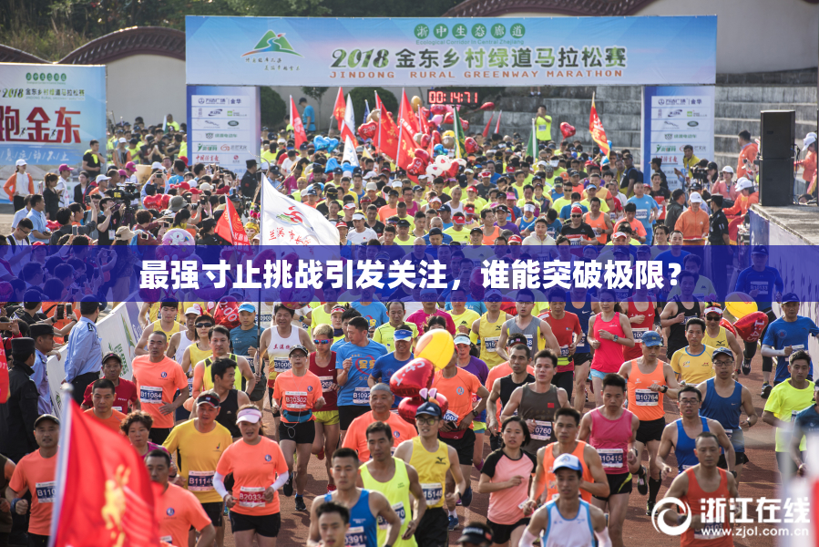 最强寸止挑战引发关注，谁能突破极限？