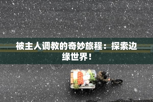 被主人调教的奇妙旅程：探索边缘世界！