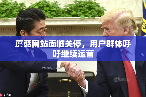 蘑菇网站面临关停，用户群体呼吁继续运营