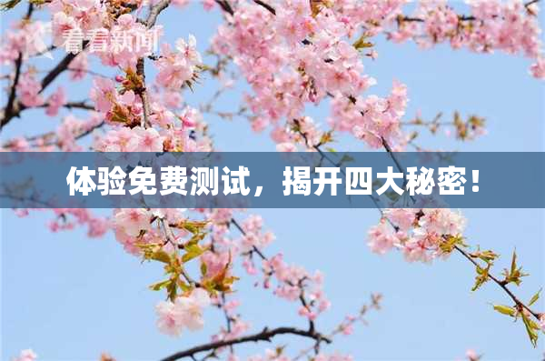 体验免费测试，揭开四大秘密！