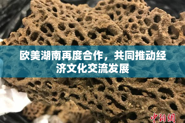 欧美湖南再度合作，共同推动经济文化交流发展