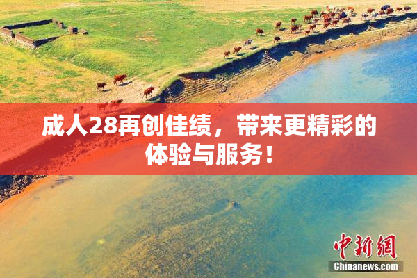 成人28再创佳绩，带来更精彩的体验与服务！