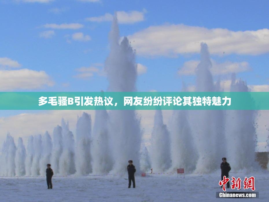 多毛骚B引发热议，网友纷纷评论其独特魅力