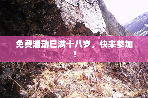 免费活动已满十八岁，快来参加！