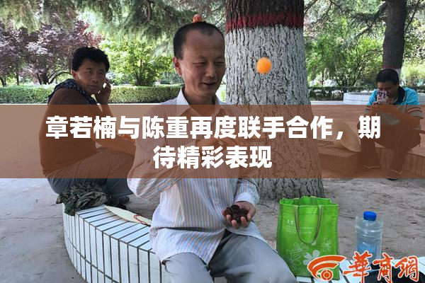 章若楠与陈重再度联手合作，期待精彩表现
