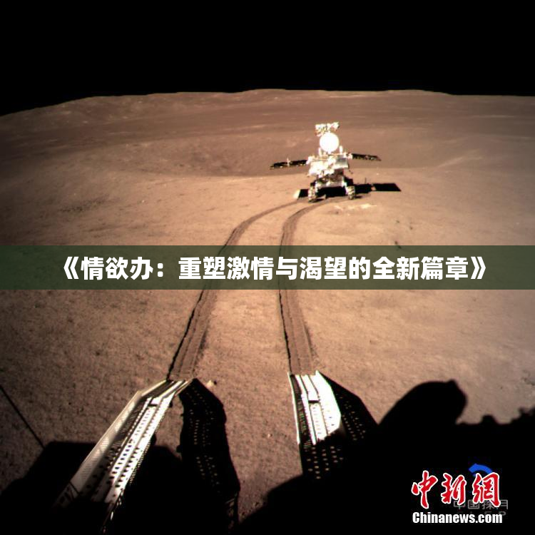 《情欲办：重塑激情与渴望的全新篇章》