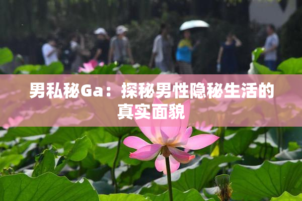 男私秘Ga：探秘男性隐秘生活的真实面貌