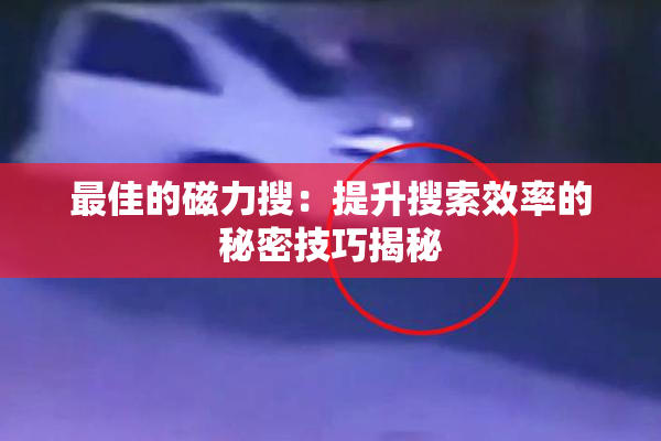 最佳的磁力搜：提升搜索效率的秘密技巧揭秘