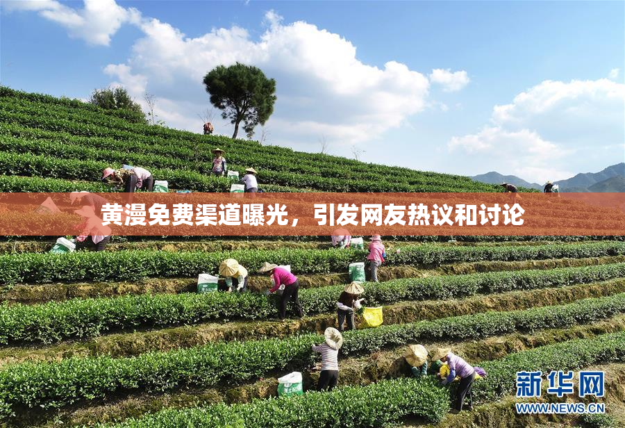 黄漫免费渠道曝光，引发网友热议和讨论