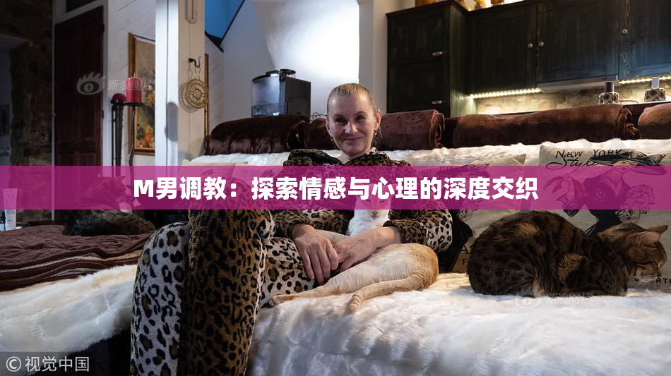 M男调教：探索情感与心理的深度交织