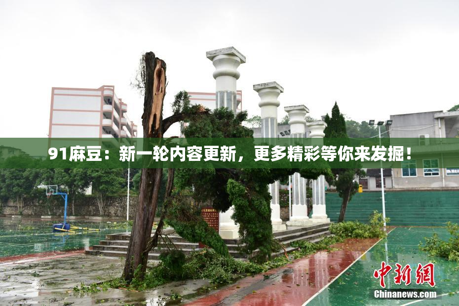 91麻豆：新一轮内容更新，更多精彩等你来发掘！