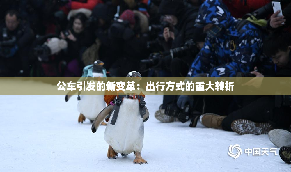 公车引发的新变革：出行方式的重大转折