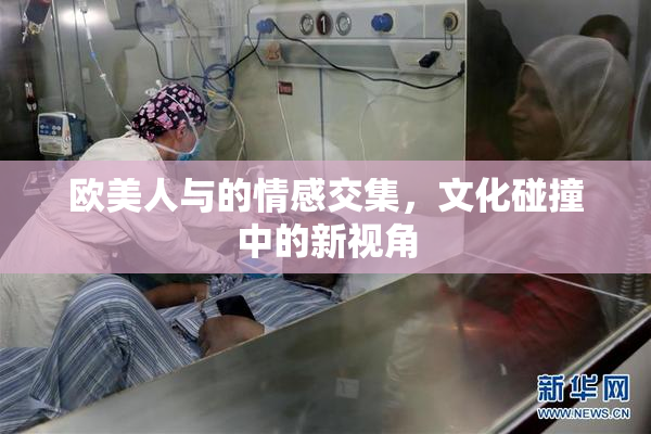 欧美人与的情感交集，文化碰撞中的新视角