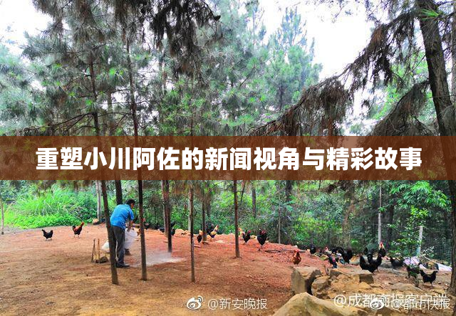 重塑小川阿佐的新闻视角与精彩故事