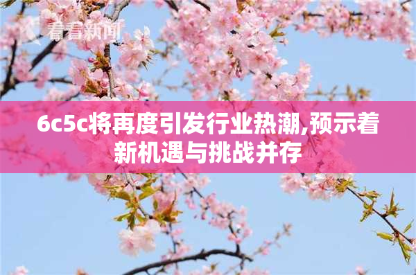 6c5c将再度引发行业热潮,预示着新机遇与挑战并存