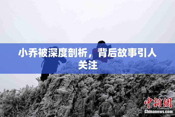 小乔被深度剖析，背后故事引人关注
