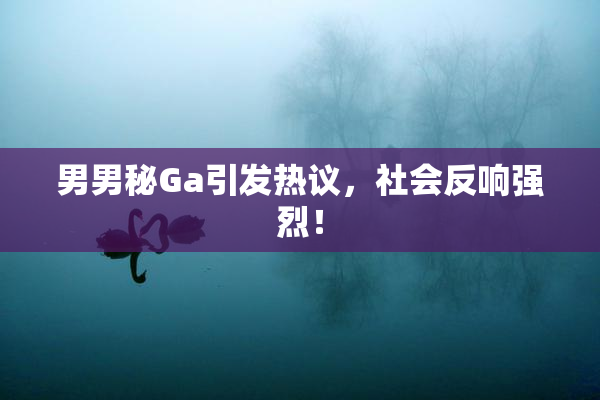 男男秘Ga引发热议，社会反响强烈！