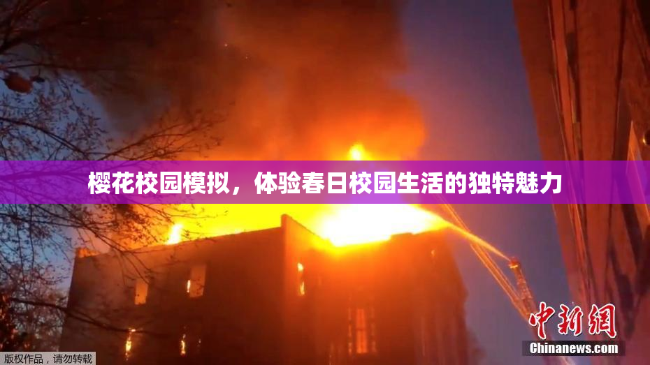 樱花校园模拟，体验春日校园生活的独特魅力