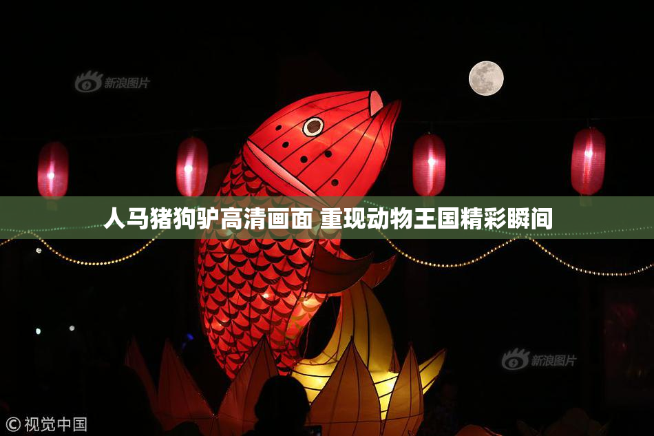 人马猪狗驴高清画面 重现动物王国精彩瞬间