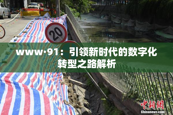 www·91：引领新时代的数字化转型之路解析