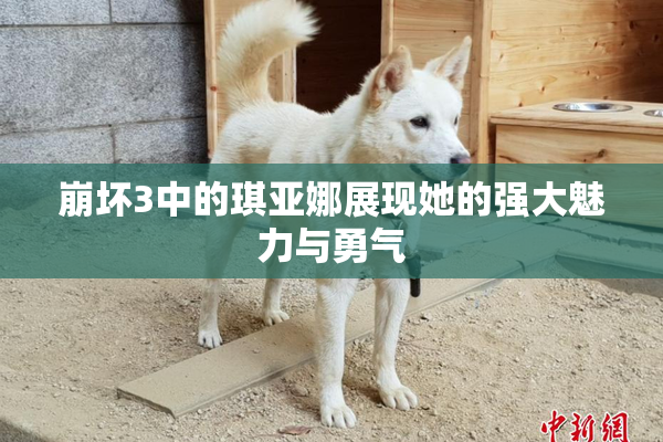 崩坏3中的琪亚娜展现她的强大魅力与勇气