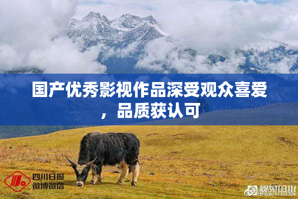 国产优秀影视作品深受观众喜爱，品质获认可