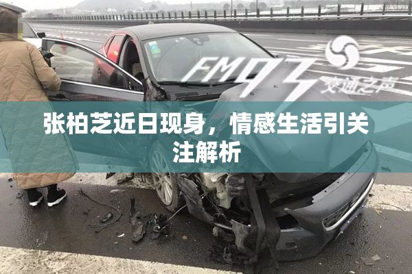 张柏芝近日现身，情感生活引关注解析