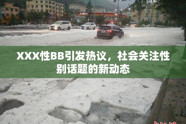 XXX性BB引发热议，社会关注性别话题的新动态