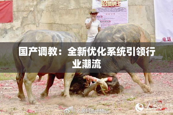 国产调教：全新优化系统引领行业潮流
