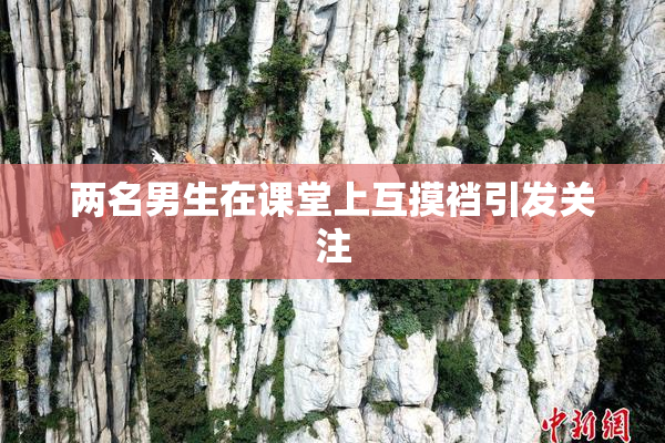 两名男生在课堂上互摸裆引发关注