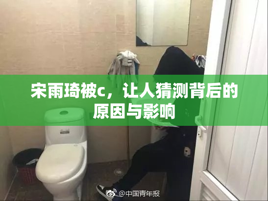 宋雨琦被c，让人猜测背后的原因与影响