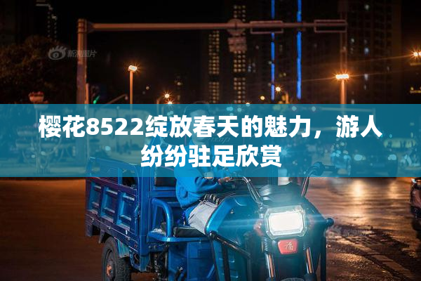 樱花8522绽放春天的魅力，游人纷纷驻足欣赏
