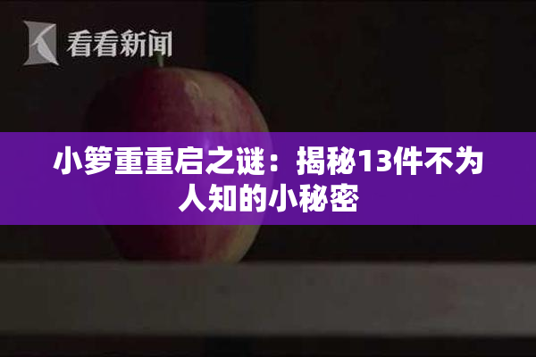 小箩重重启之谜：揭秘13件不为人知的小秘密