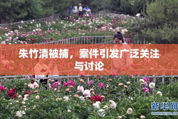 朱竹清被捕，案件引发广泛关注与讨论