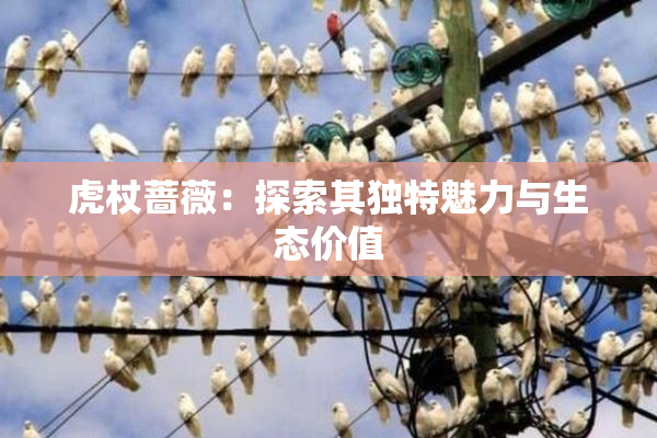 虎杖蔷薇：探索其独特魅力与生态价值