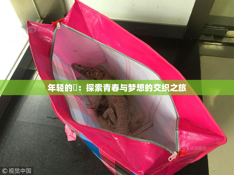 年轻的妺：探索青春与梦想的交织之旅