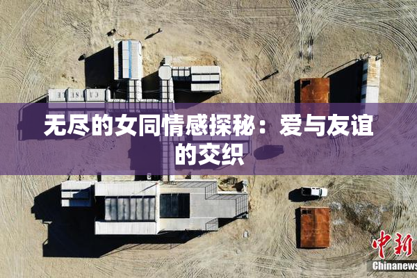 无尽的女同情感探秘：爱与友谊的交织