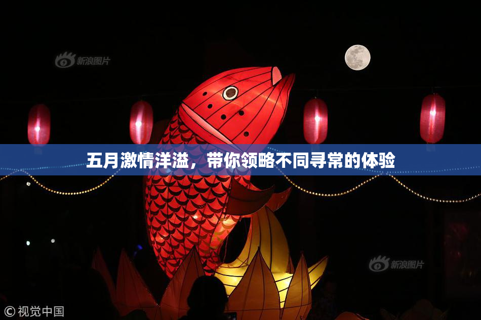 五月激情洋溢，带你领略不同寻常的体验