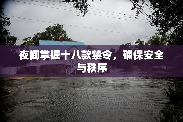 夜间掌握十八款禁令，确保安全与秩序