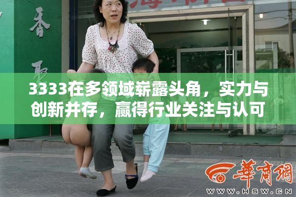 3333在多领域崭露头角，实力与创新并存，赢得行业关注与认可