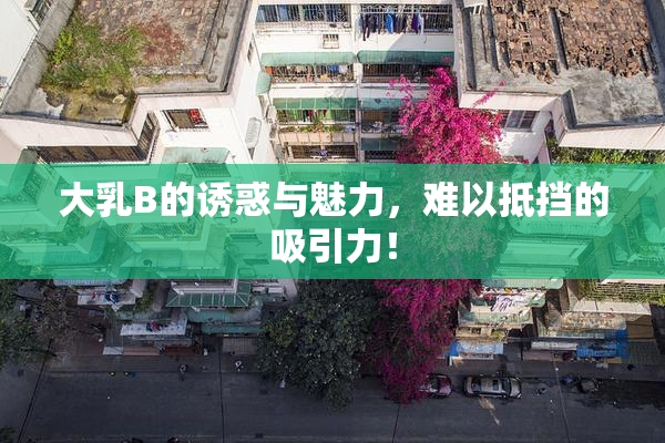 大乳B的诱惑与魅力，难以抵挡的吸引力！