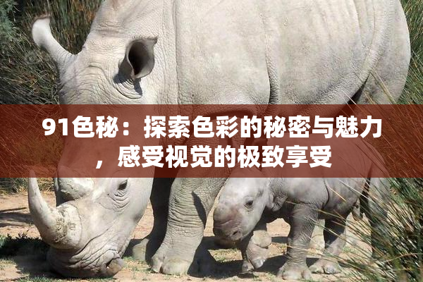 91色秘：探索色彩的秘密与魅力，感受视觉的极致享受