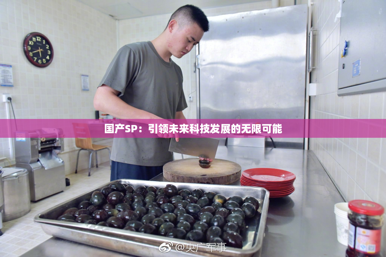 国产SP：引领未来科技发展的无限可能