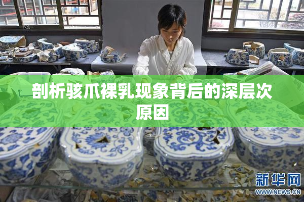 剖析骇爪裸乳现象背后的深层次原因