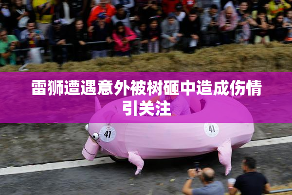 雷狮遭遇意外被树砸中造成伤情引关注