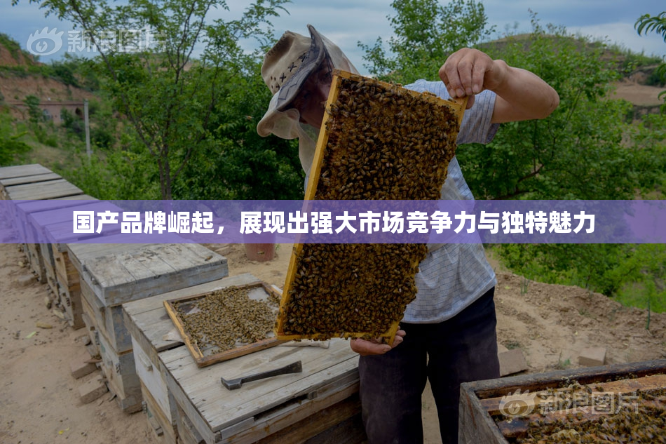 国产品牌崛起，展现出强大市场竞争力与独特魅力