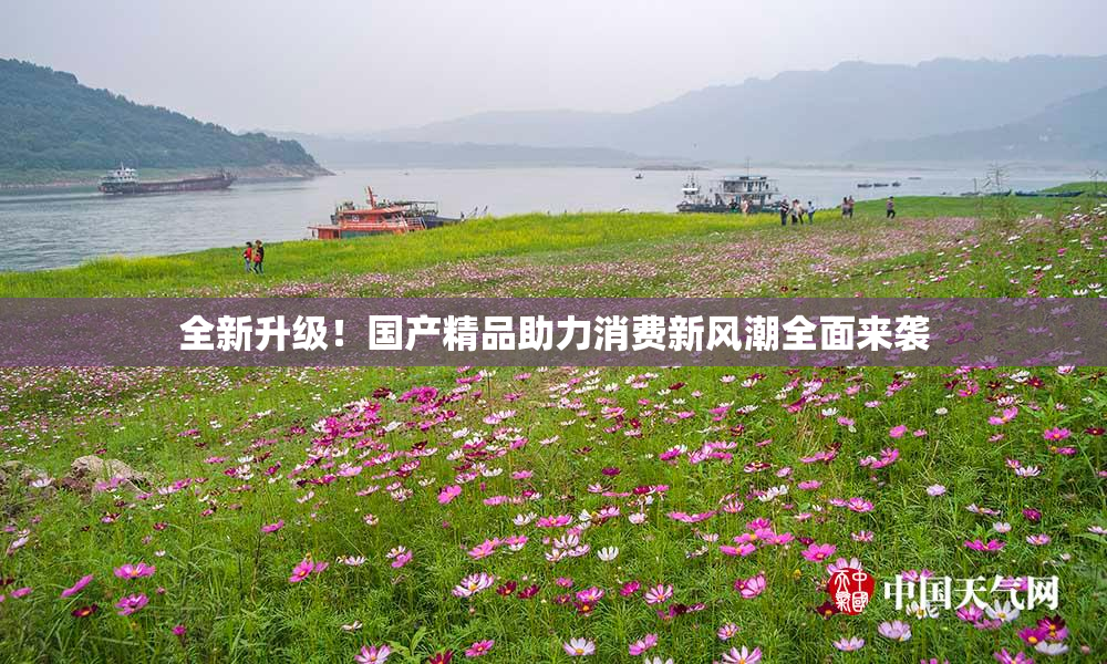全新升级！国产精品助力消费新风潮全面来袭