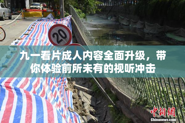 九一看片成人内容全面升级，带你体验前所未有的视听冲击